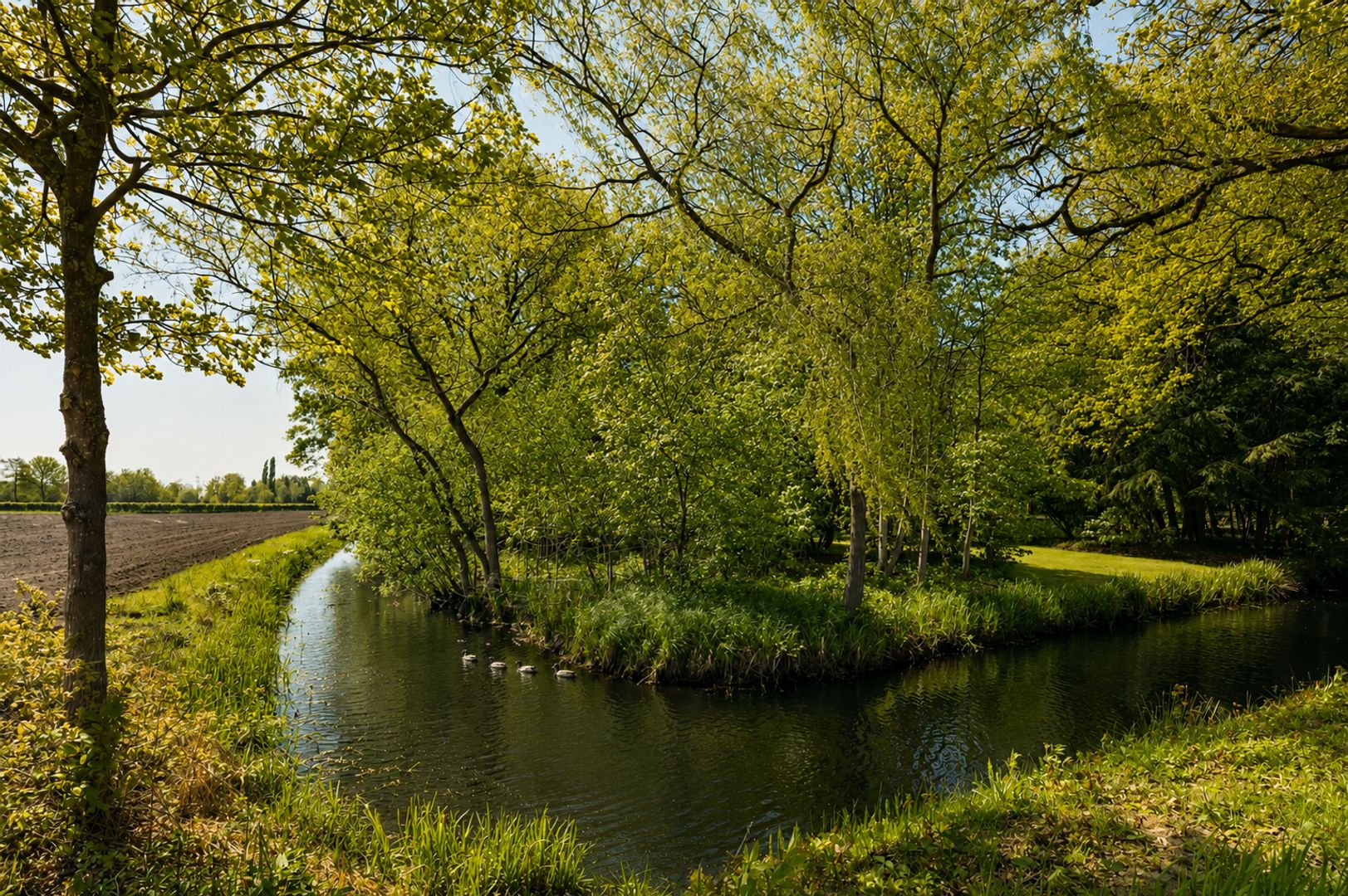 Oirschotseweg 12, Moergestel foto-5