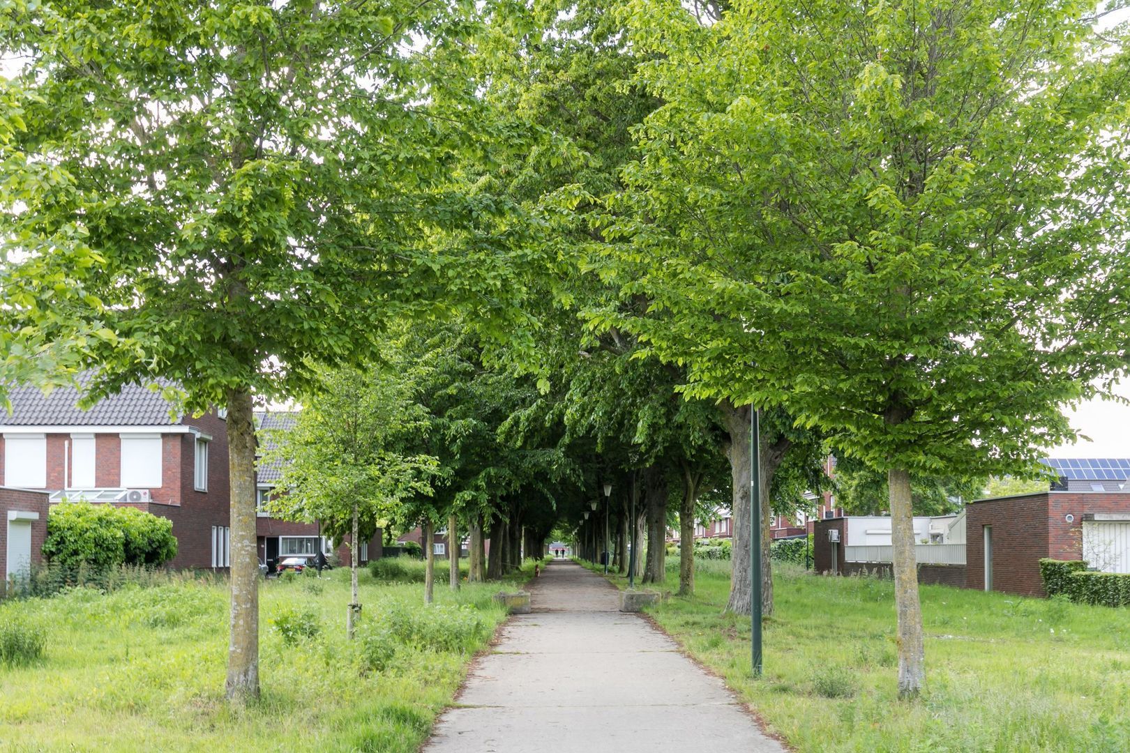 Bekkensstraat 52, Eindhoven foto-44