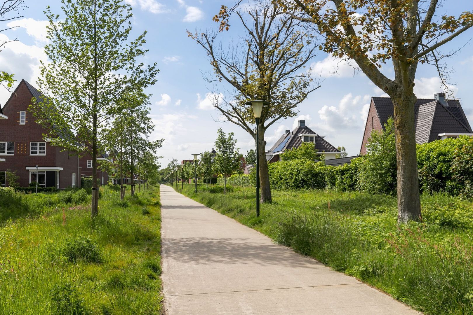 Bekkensstraat 52, Eindhoven foto-43