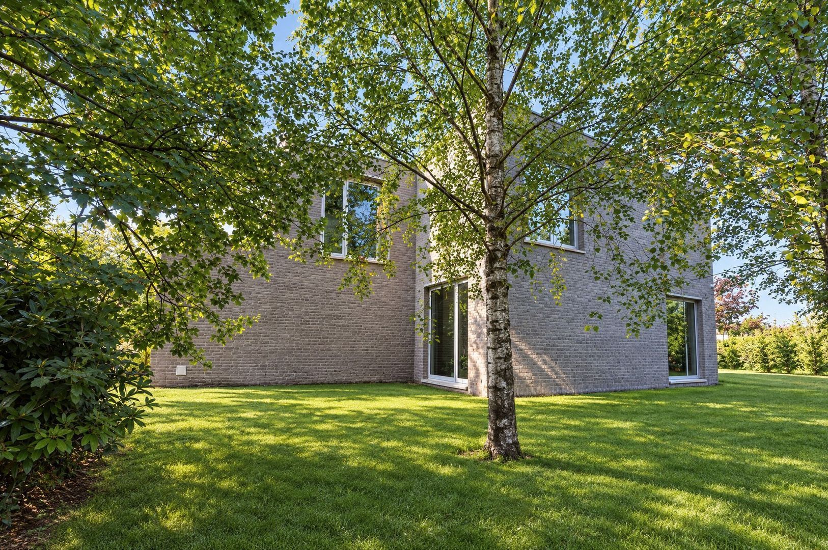 Bosfazant 18, Eindhoven foto-14