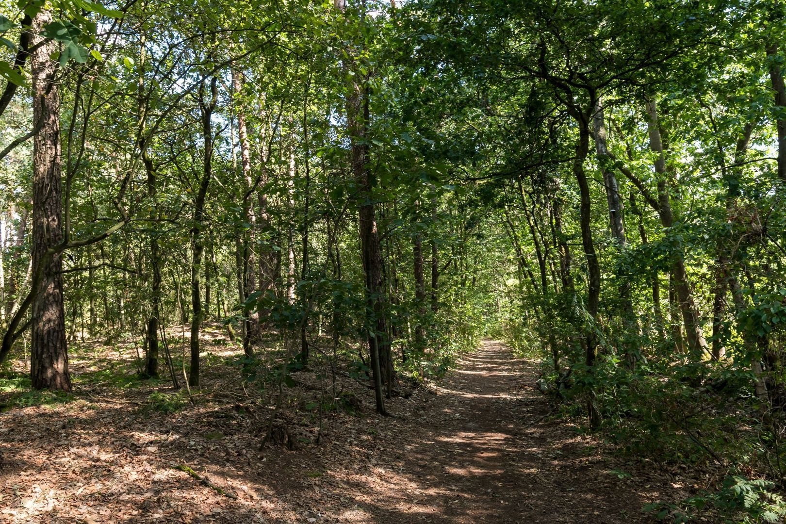 Blokvenlaan 47, Waalre foto-28