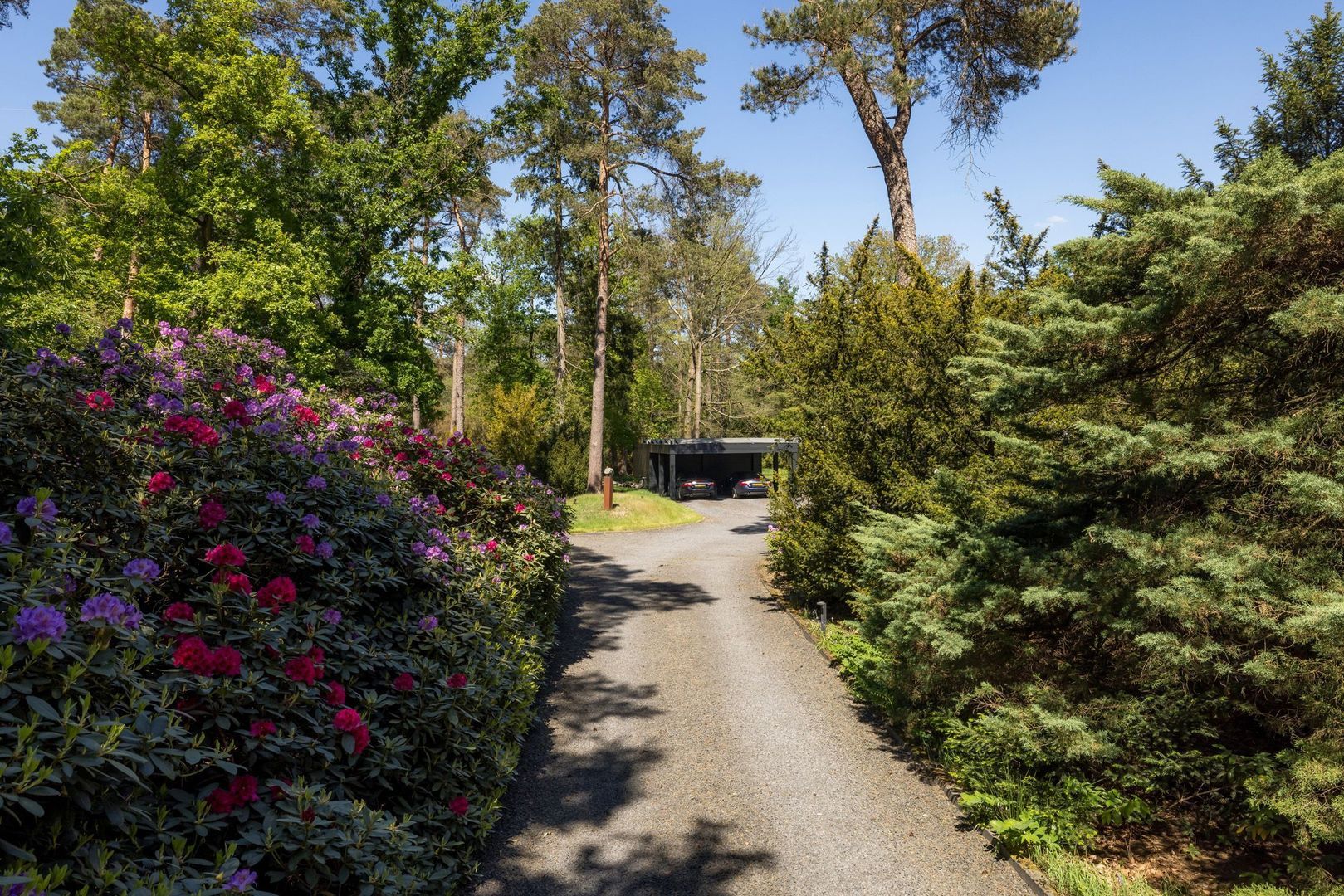 Treeswijklaan 9, Waalre foto-3