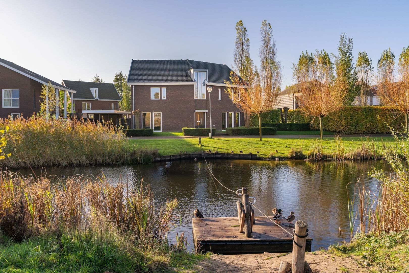 Malpad 1, Oss foto-1