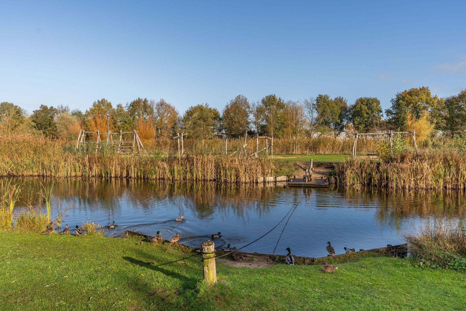 Malpad 1, Oss foto-48