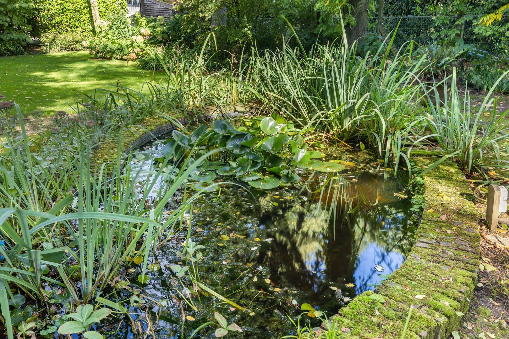 Dr. Baptiststraat 7, Megen foto-54