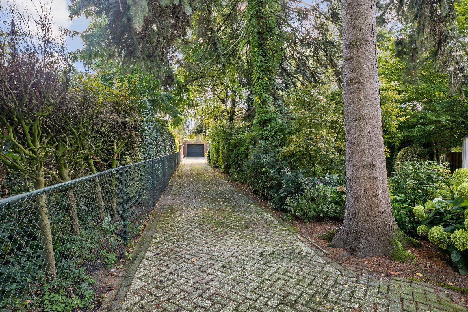 Dr. Baptiststraat 7, Megen foto-57