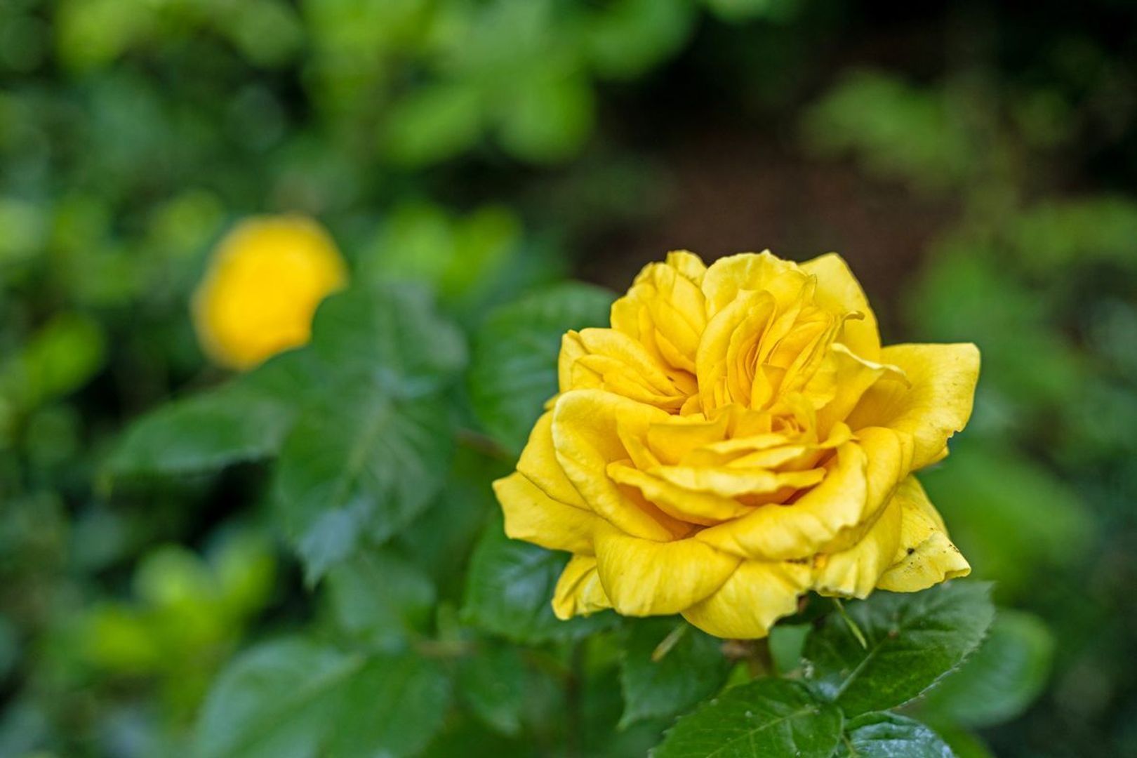 Beatrixlaan 5, Oss foto-25