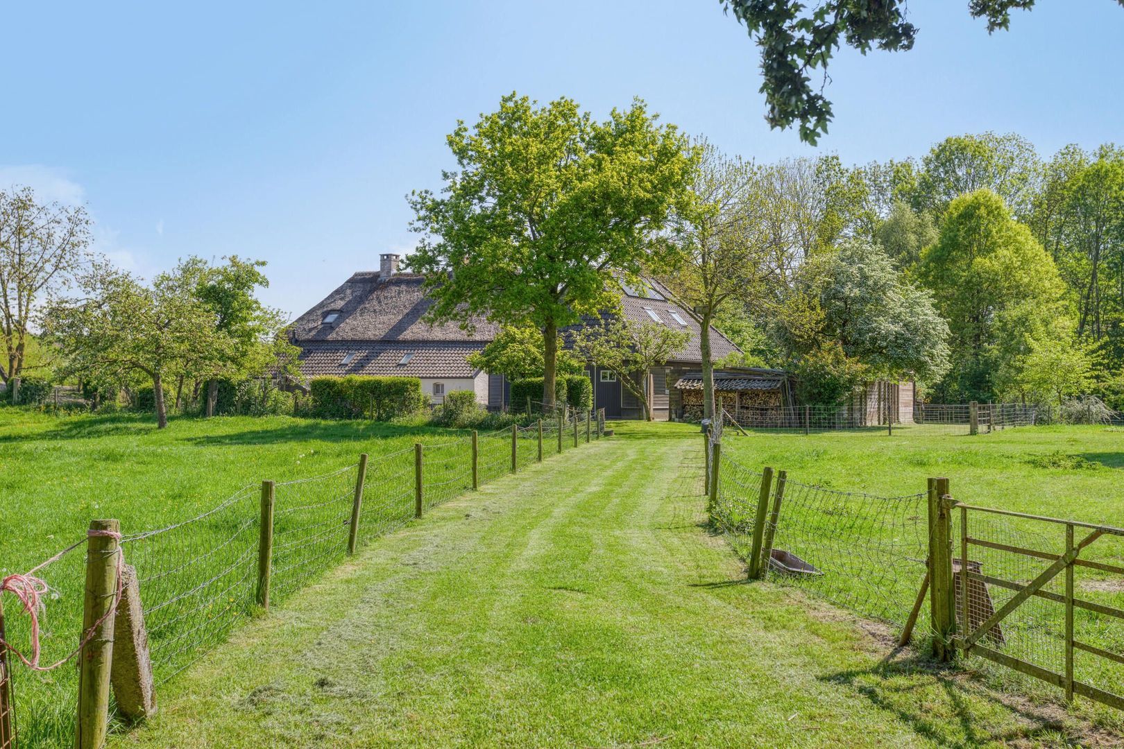 Maasdijk 5, Overlangel foto-4