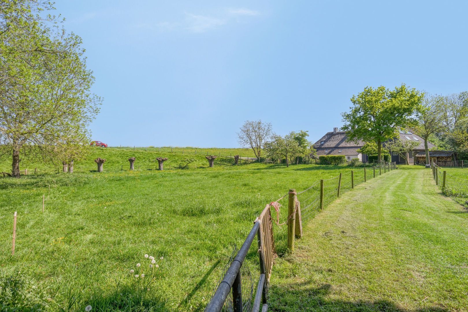Maasdijk 5, Overlangel foto-65