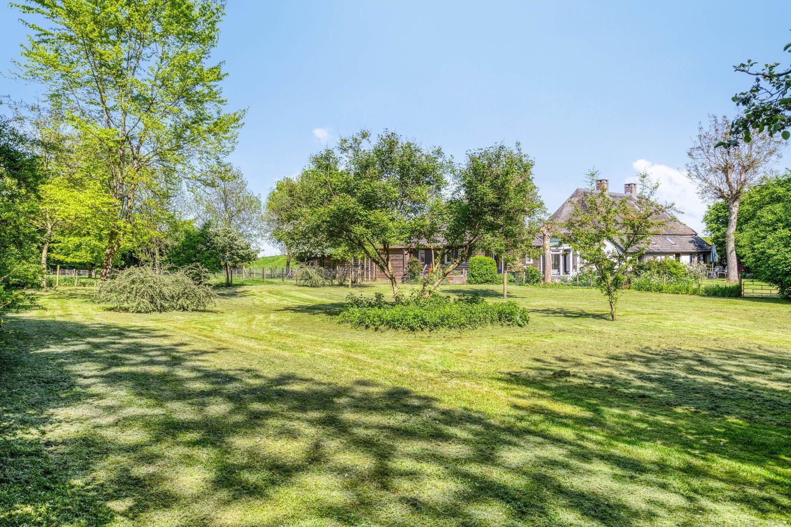 Maasdijk 5, Overlangel foto-5