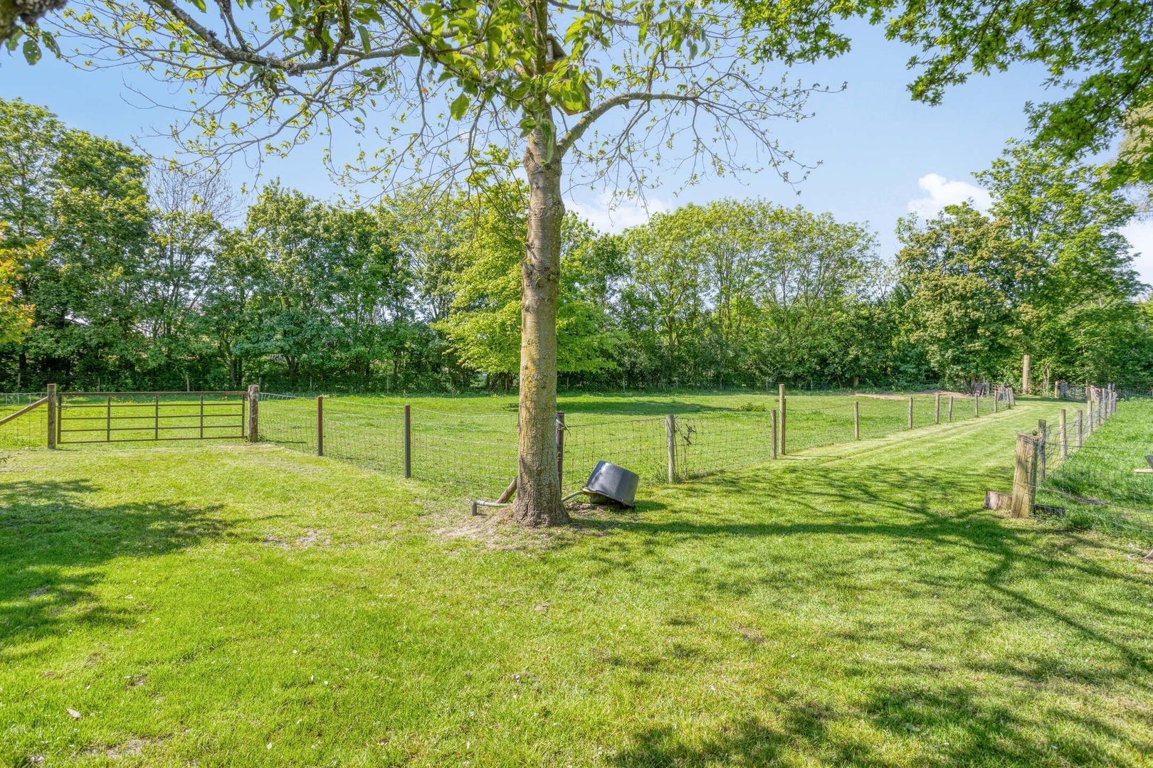 Maasdijk 5, Overlangel foto-7