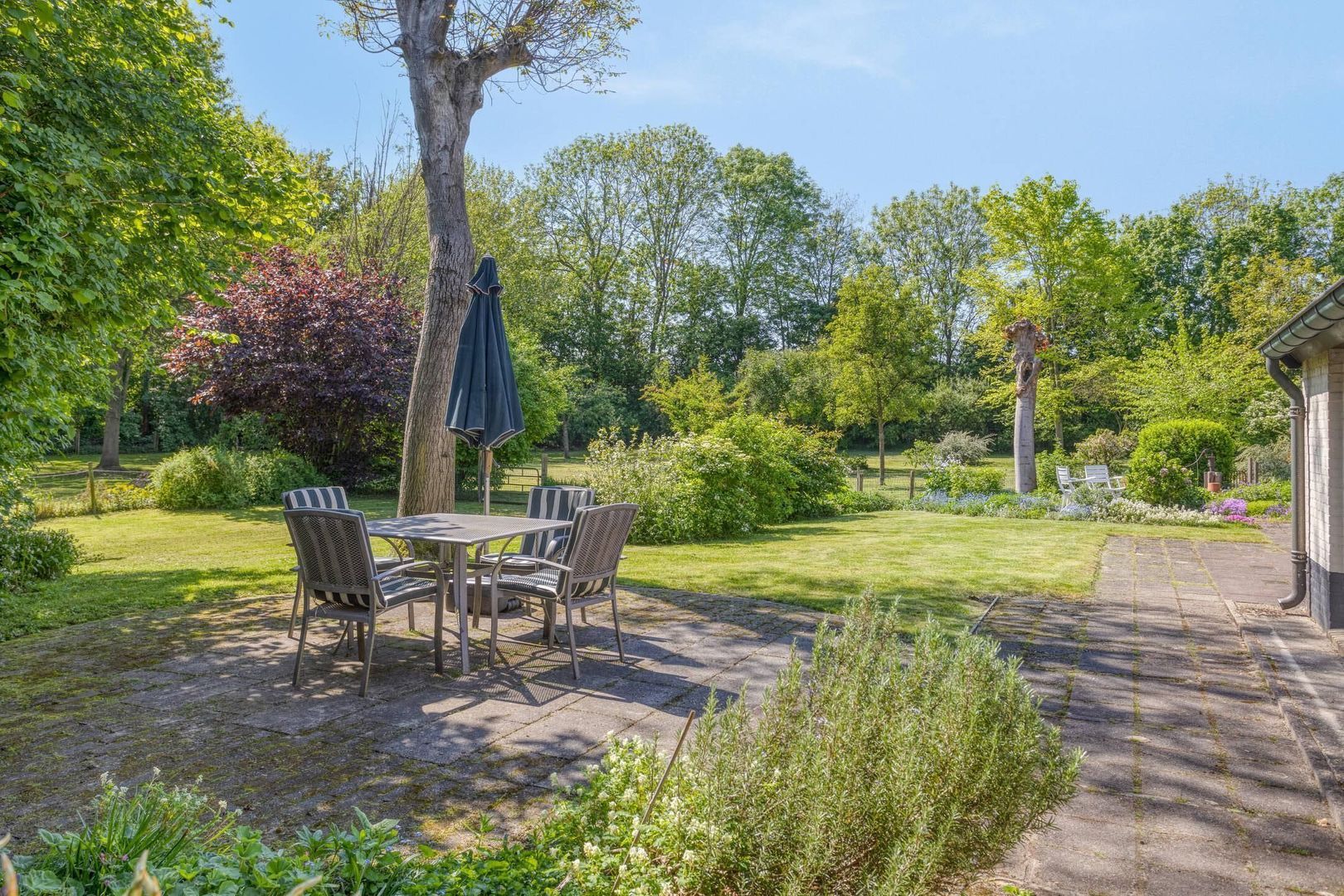 Maasdijk 5, Overlangel foto-6