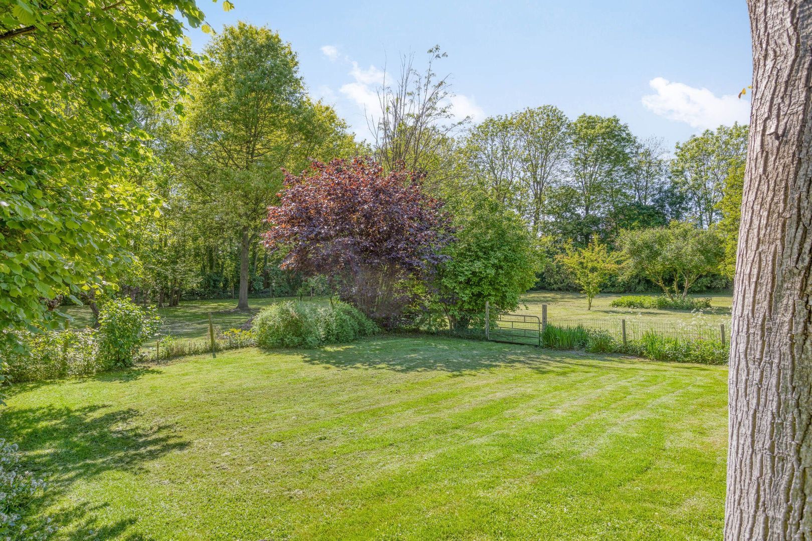 Maasdijk 5, Overlangel foto-62