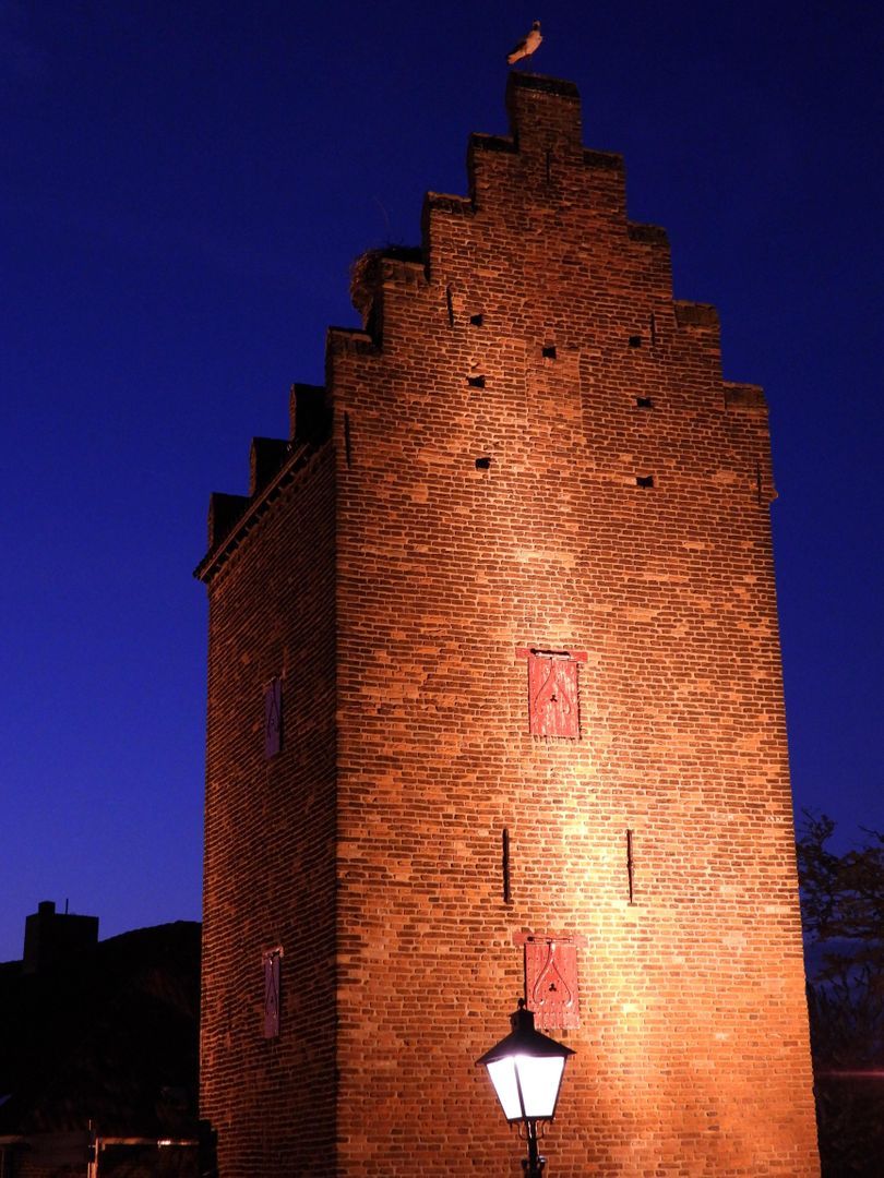 Walstraat 4, Megen foto-53