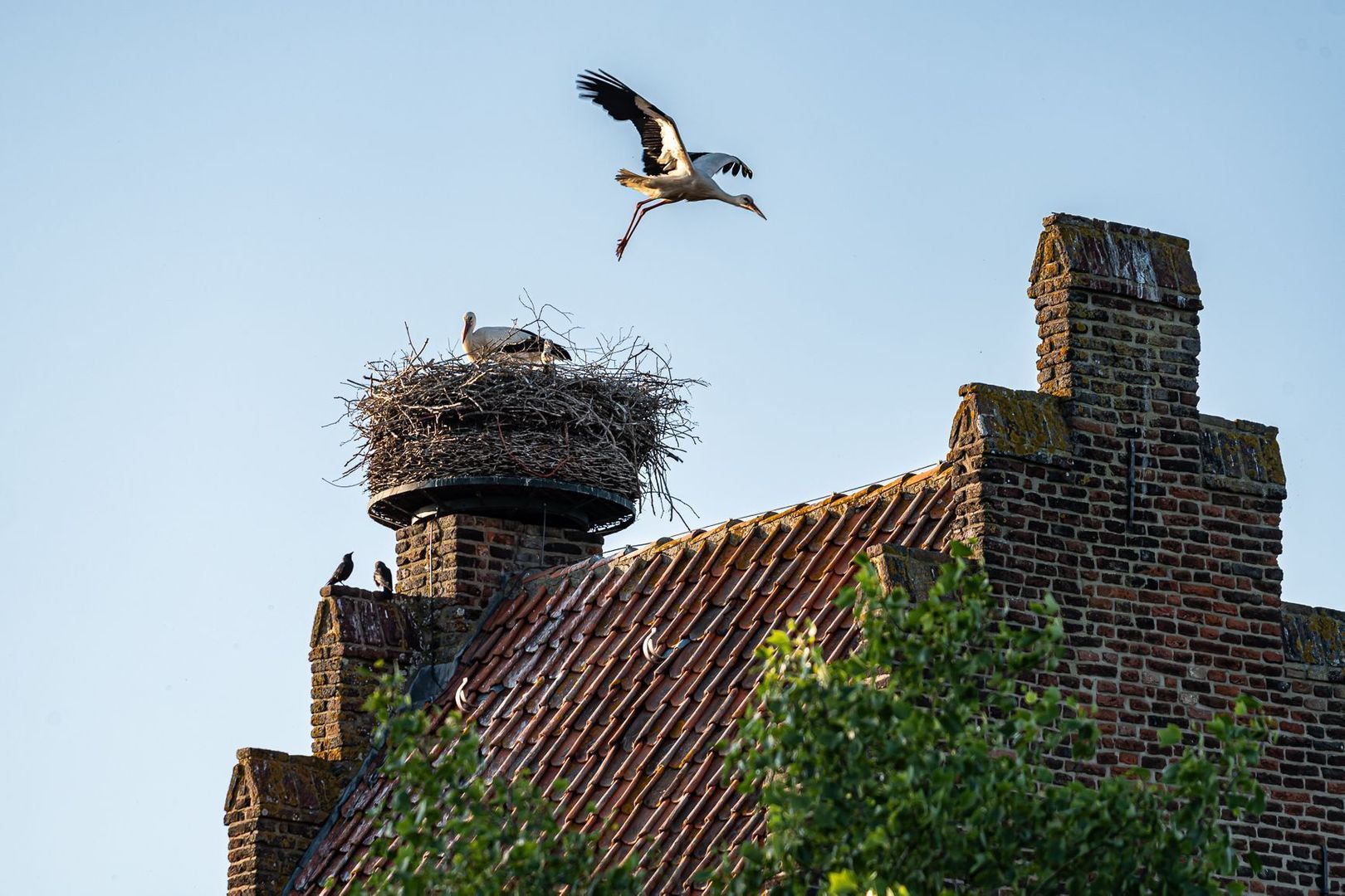 Walstraat 4, Megen foto-52
