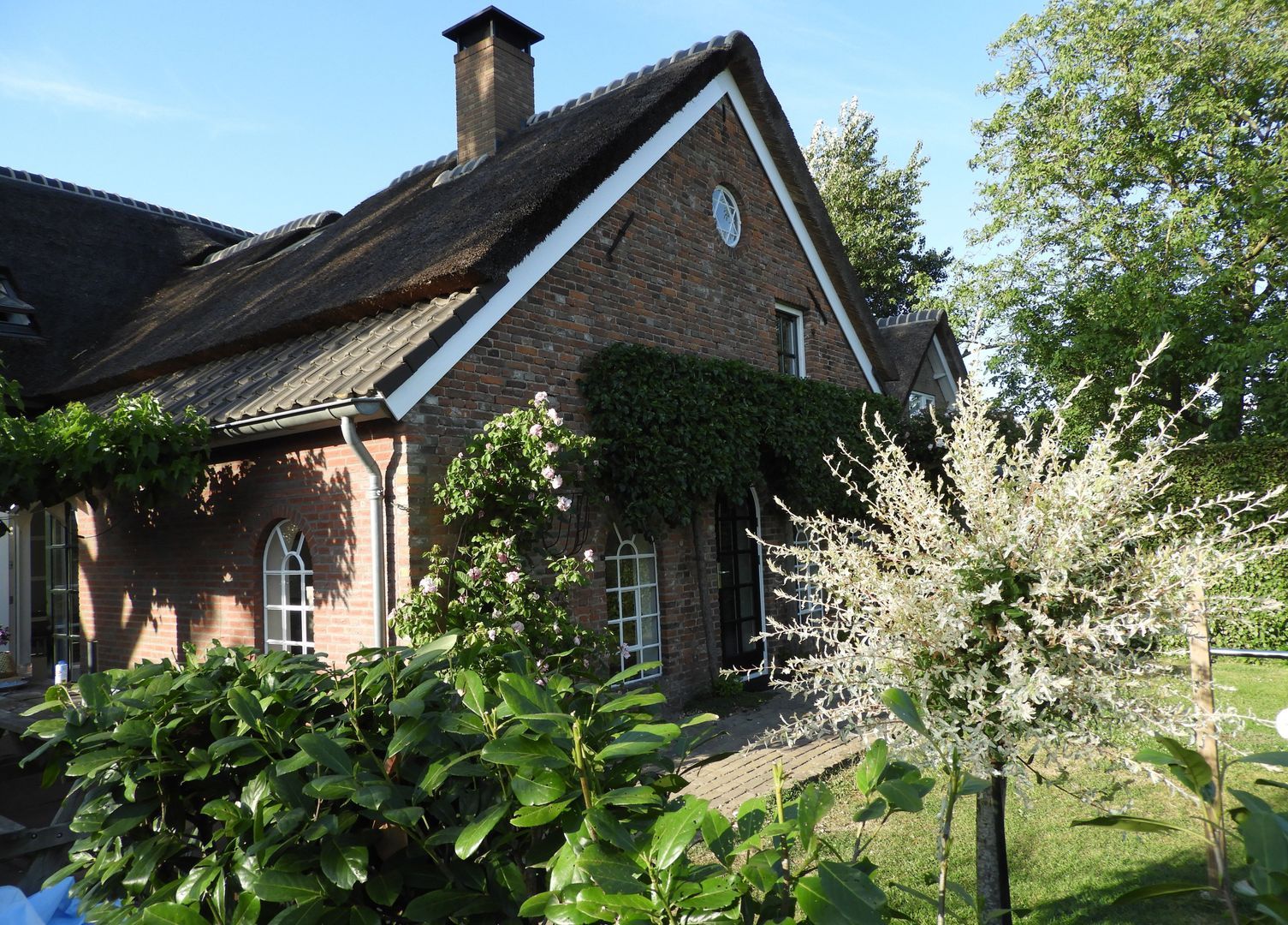 Walstraat 4, Megen foto-45