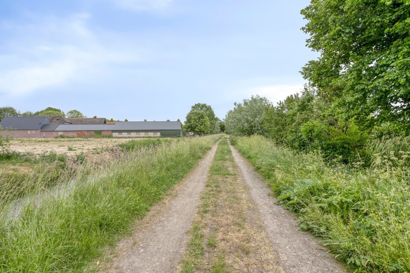 Meester van Coothstraat 18 A, Lith foto-50