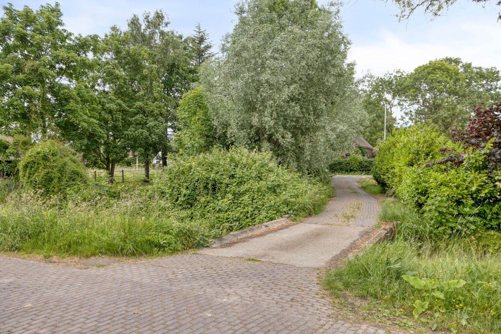 Meester van Coothstraat 18 A, Lith foto-49