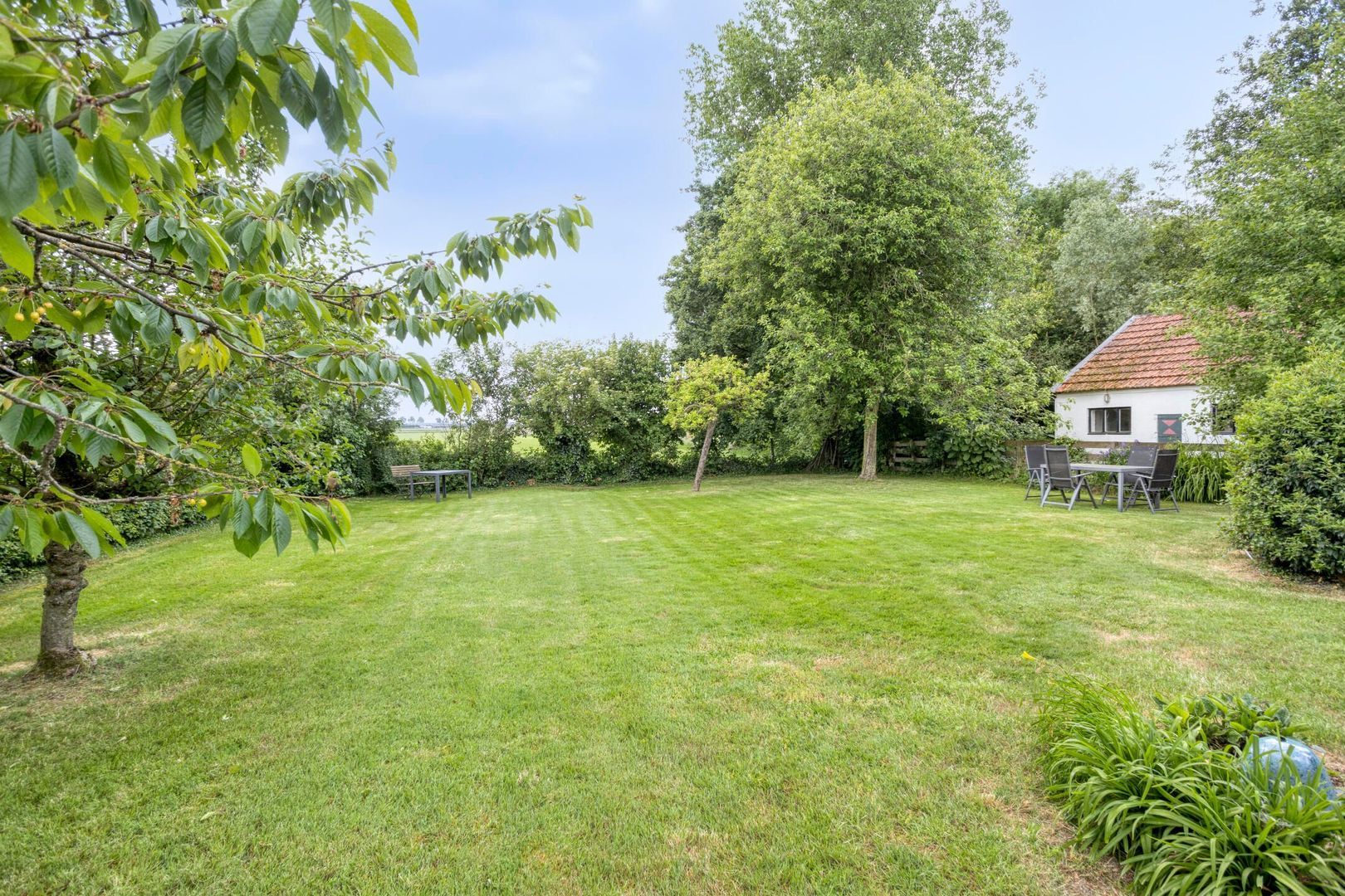 Meester van Coothstraat 18 A, Lith foto-36