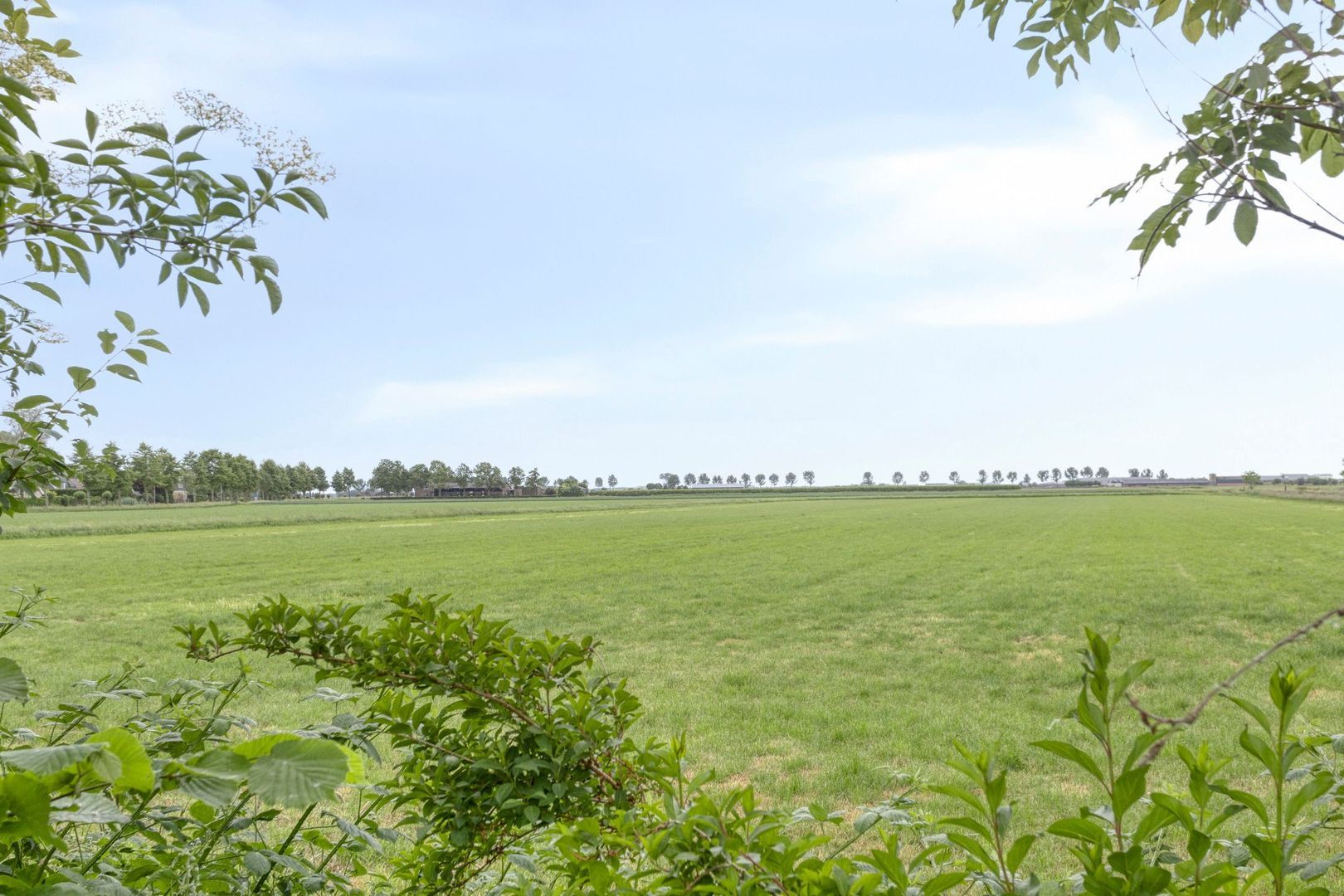 Meester van Coothstraat 18 A, Lith foto-48