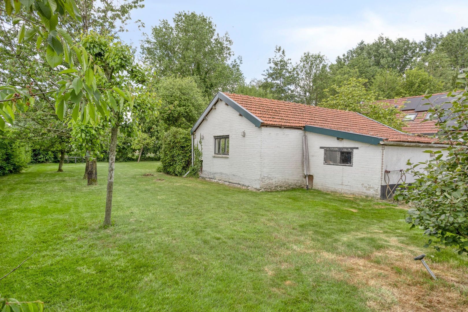 Meester van Coothstraat 18 A, Lith foto-40