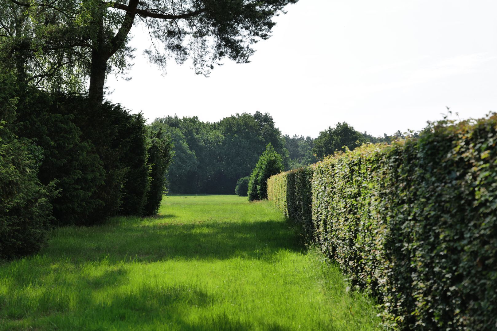 Vierwindenlaan 13, Oss foto-21