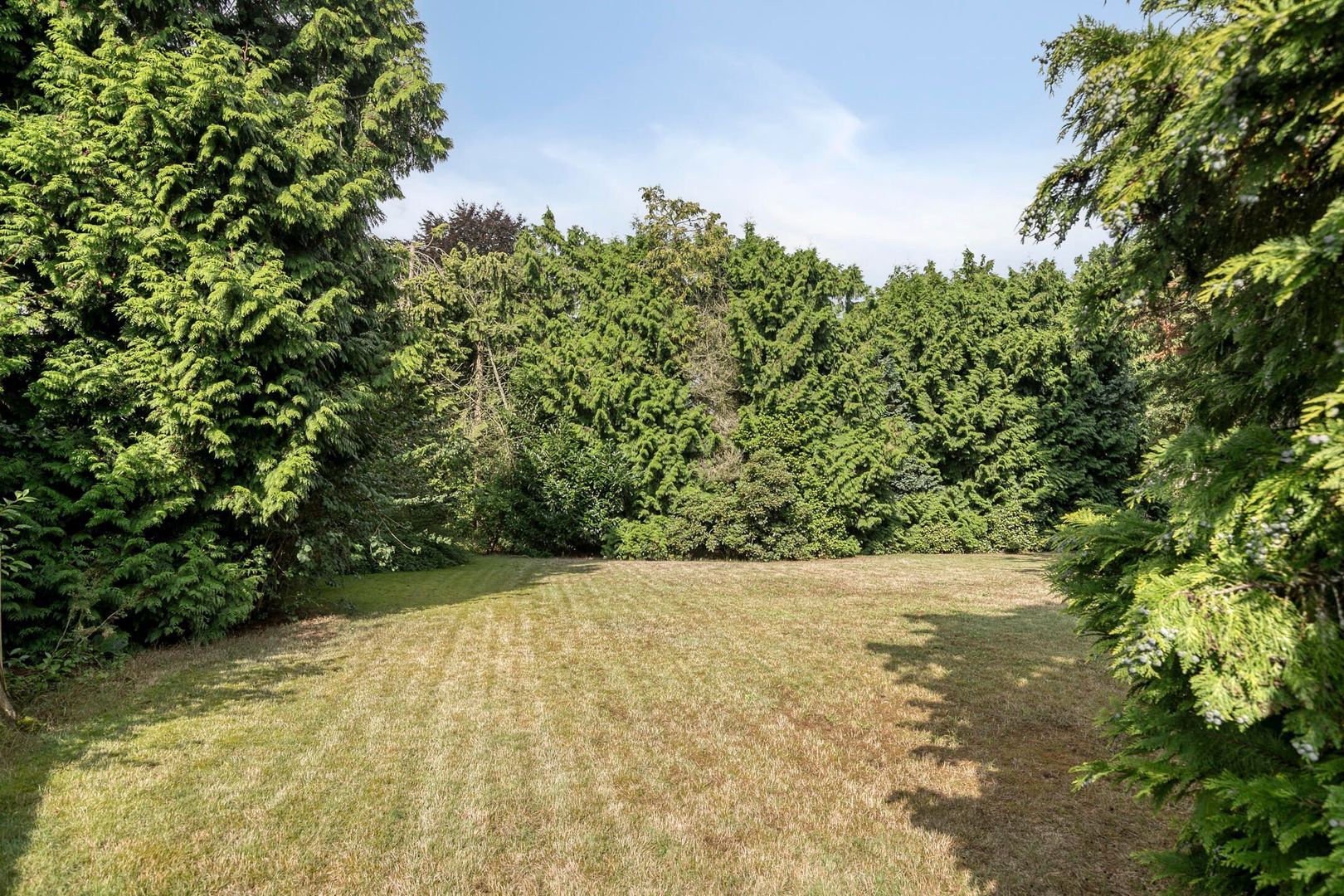 Bachlaan 6, Oss foto-31