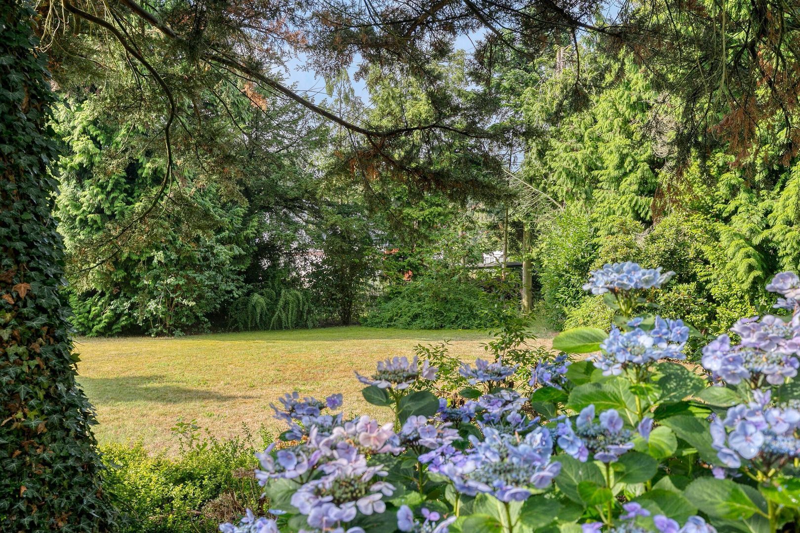 Bachlaan 6, Oss foto-32