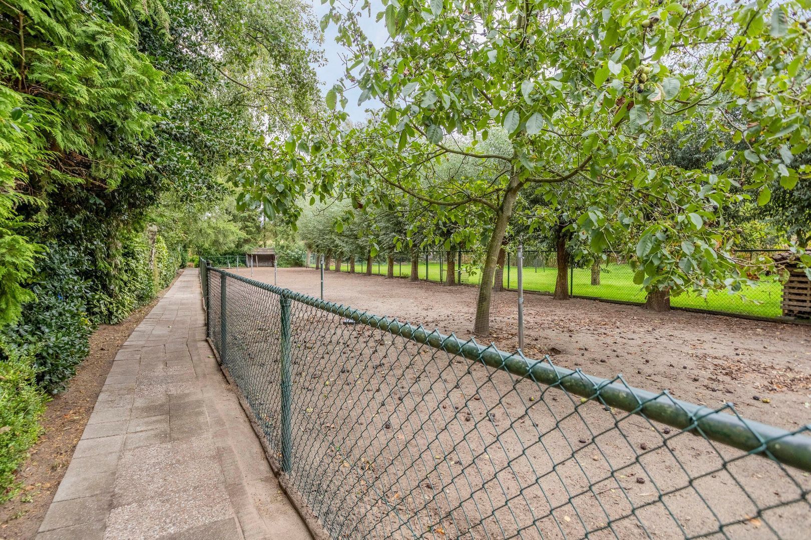 Zevenbergseweg 23 A, Berghem foto-36