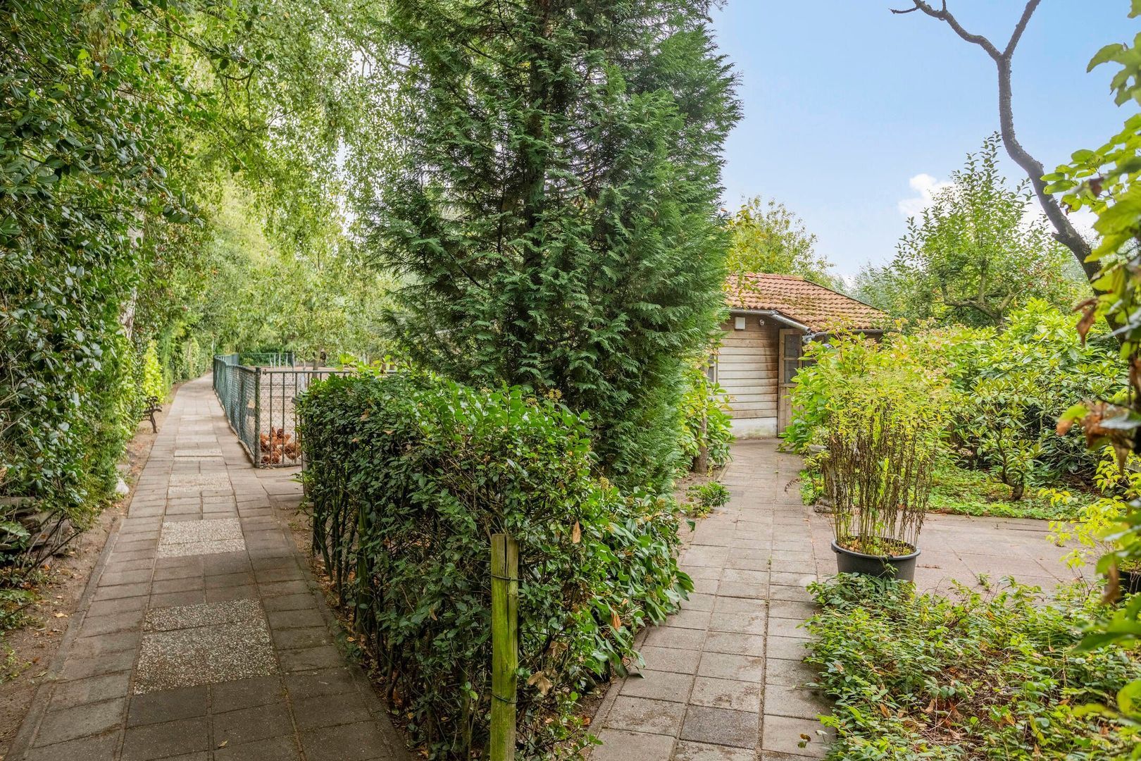 Zevenbergseweg 23 A, Berghem foto-34