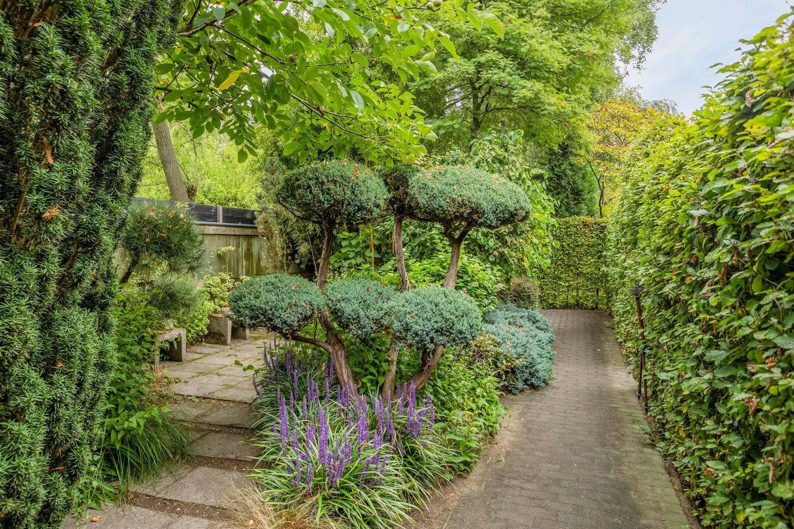 Zevenbergseweg 23 A, Berghem foto-32