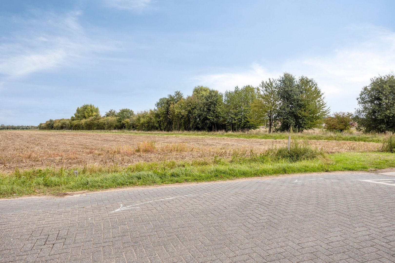 Medaille 19, Oss foto-35