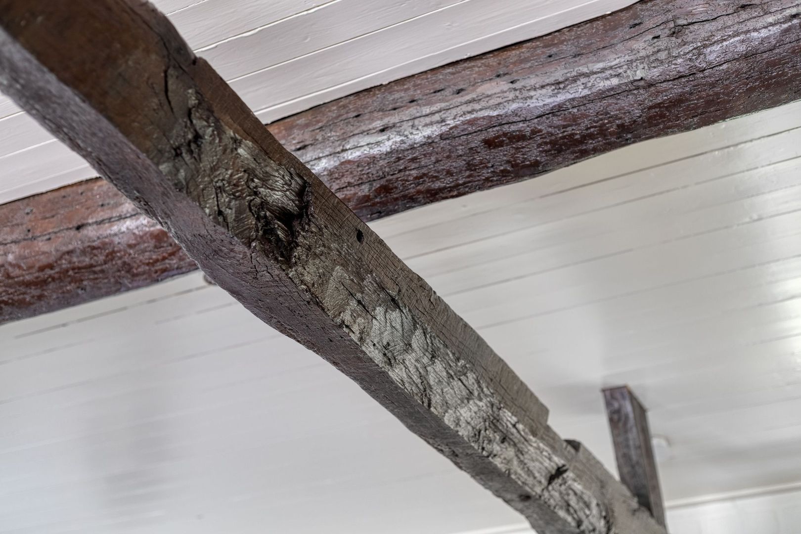 Poelstraat 5, Dieden foto-9