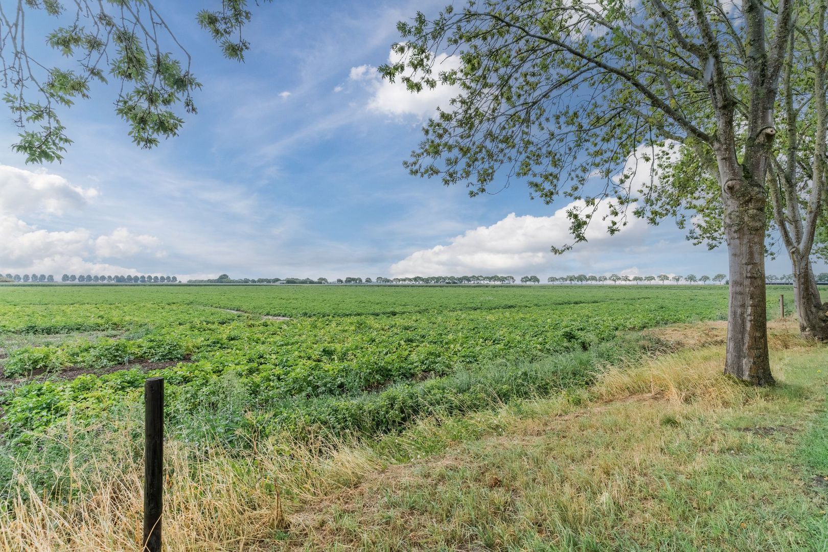 Weisestraat 14, Lithoijen foto-66