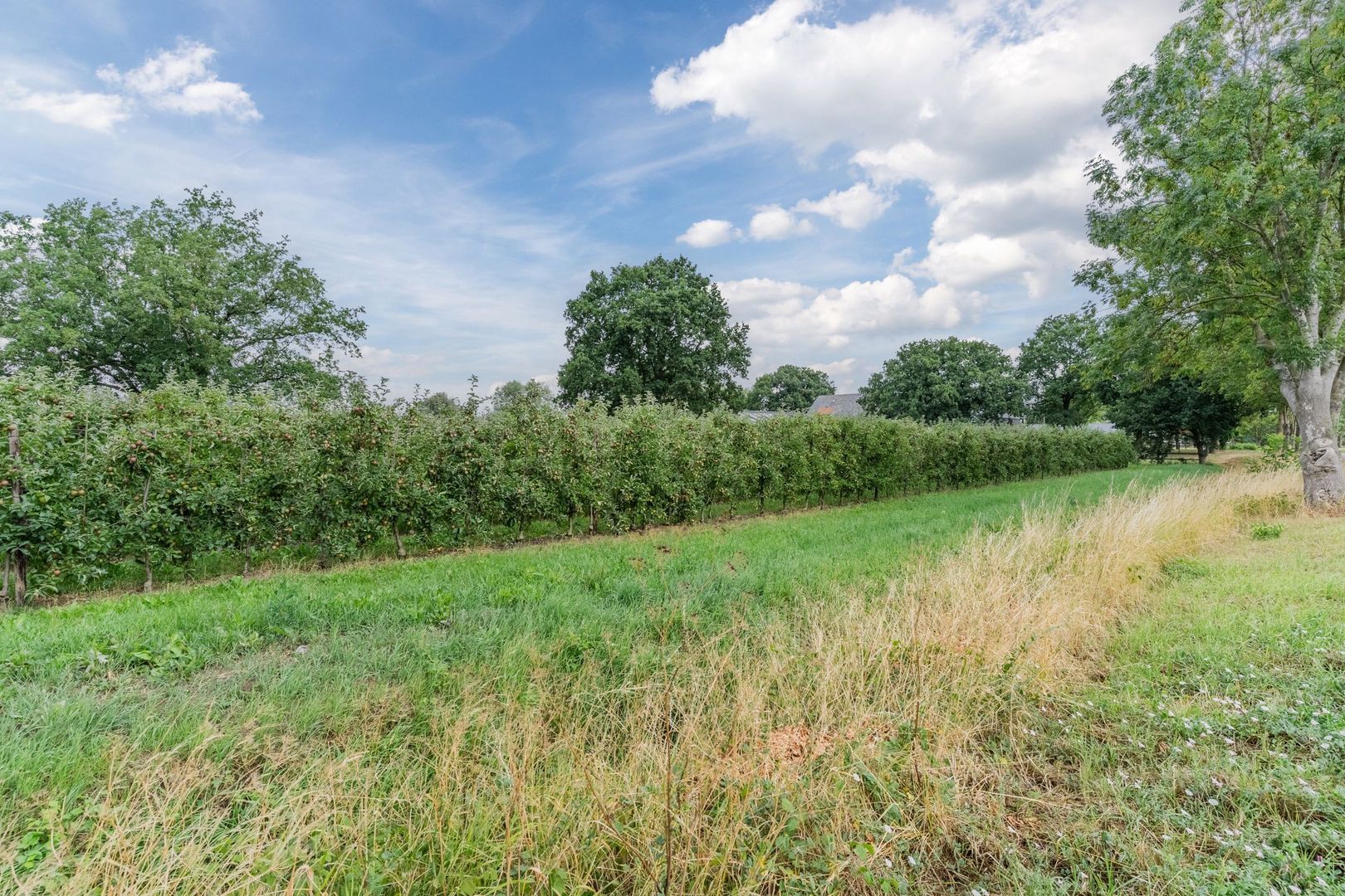 Weisestraat 14, Lithoijen foto-65