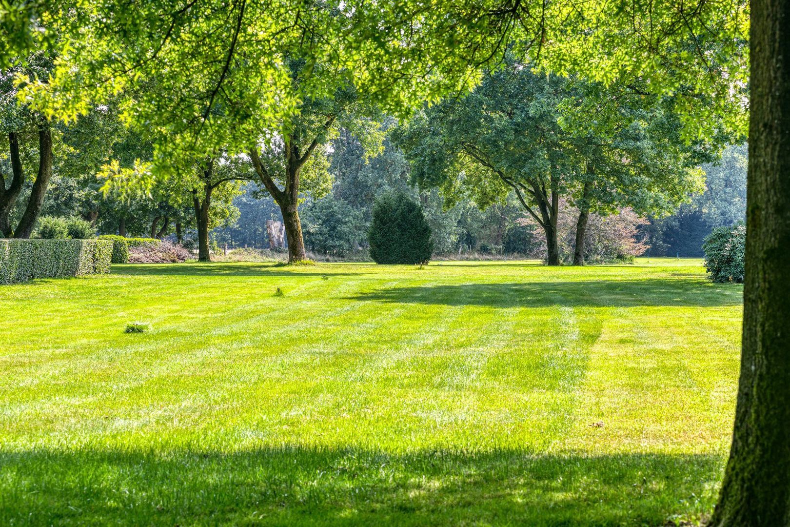 Vierwindenlaan 13, Oss foto-29