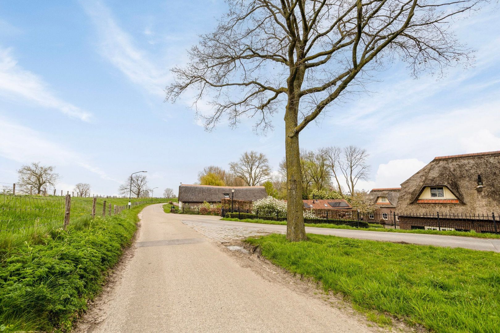 Maasdijk 3, Megen foto-46