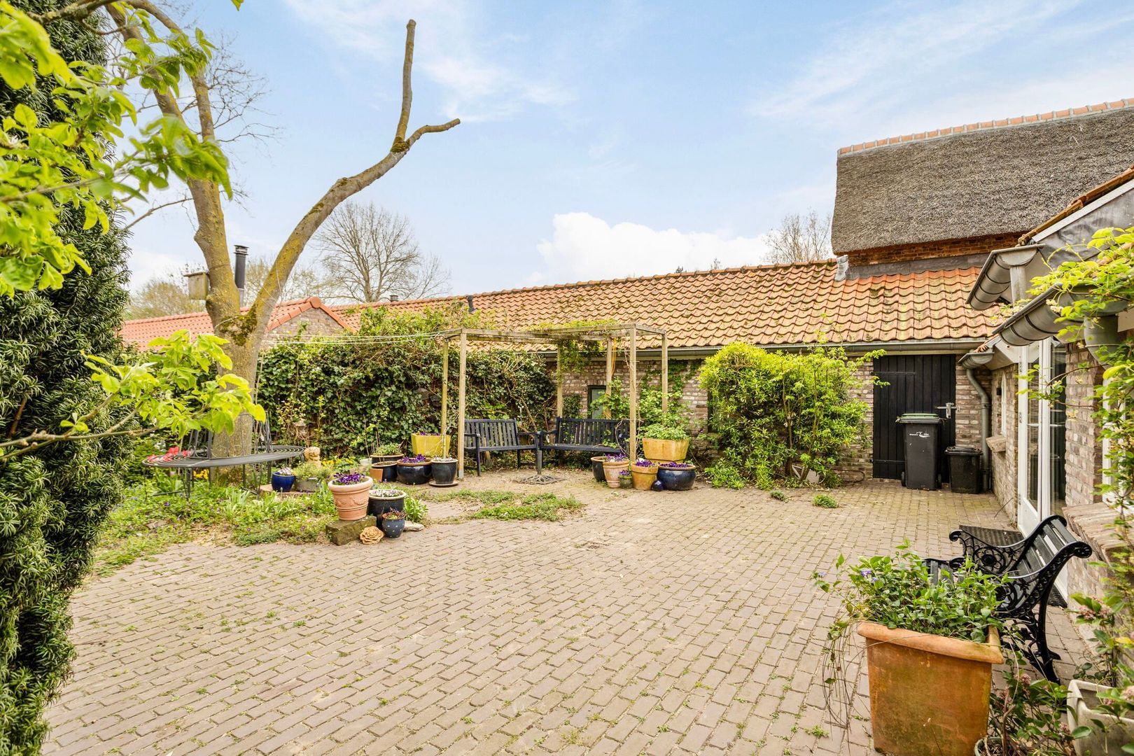 Maasdijk 3, Megen foto-42