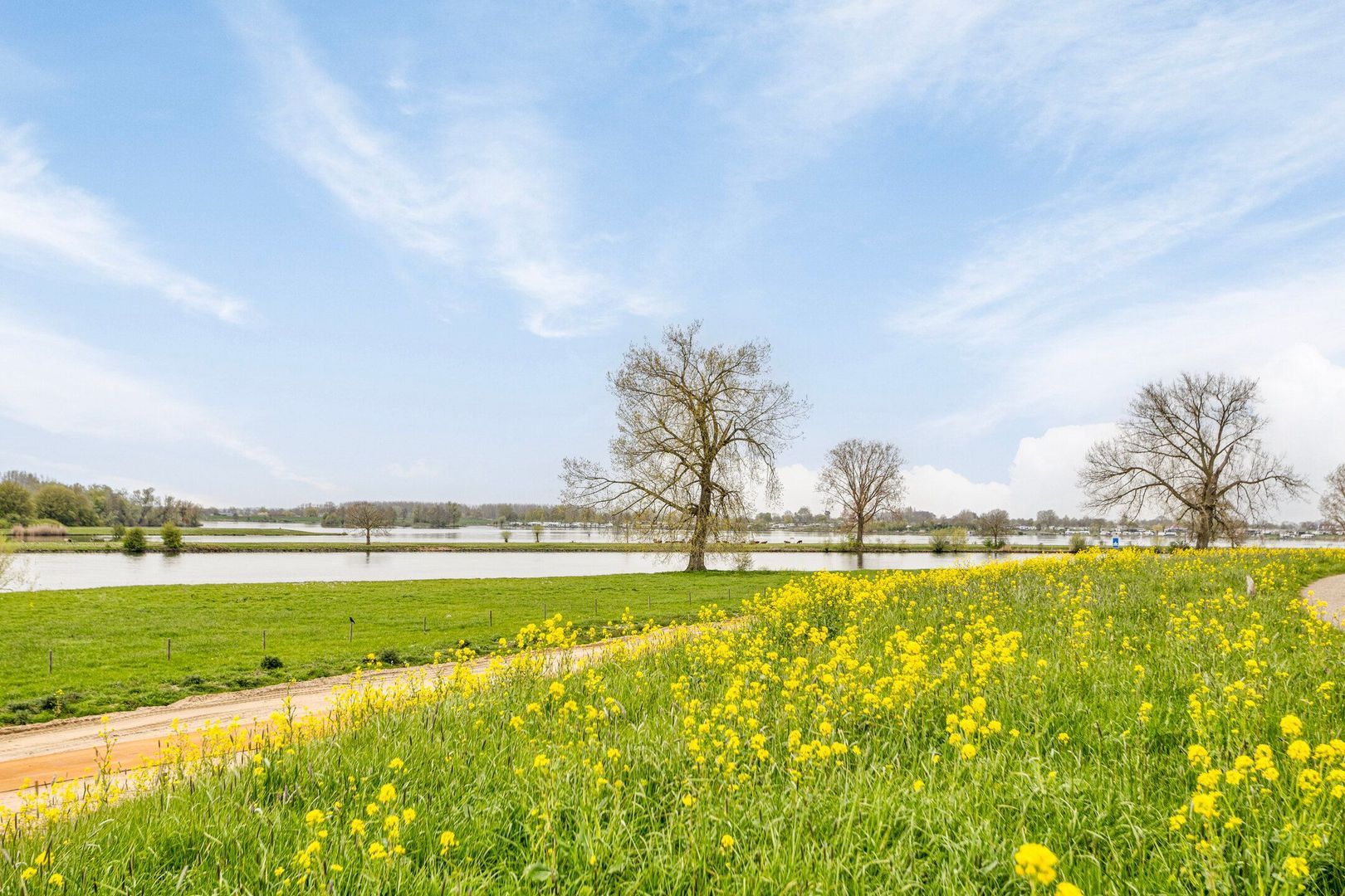 Maasdijk 3, Megen foto-49