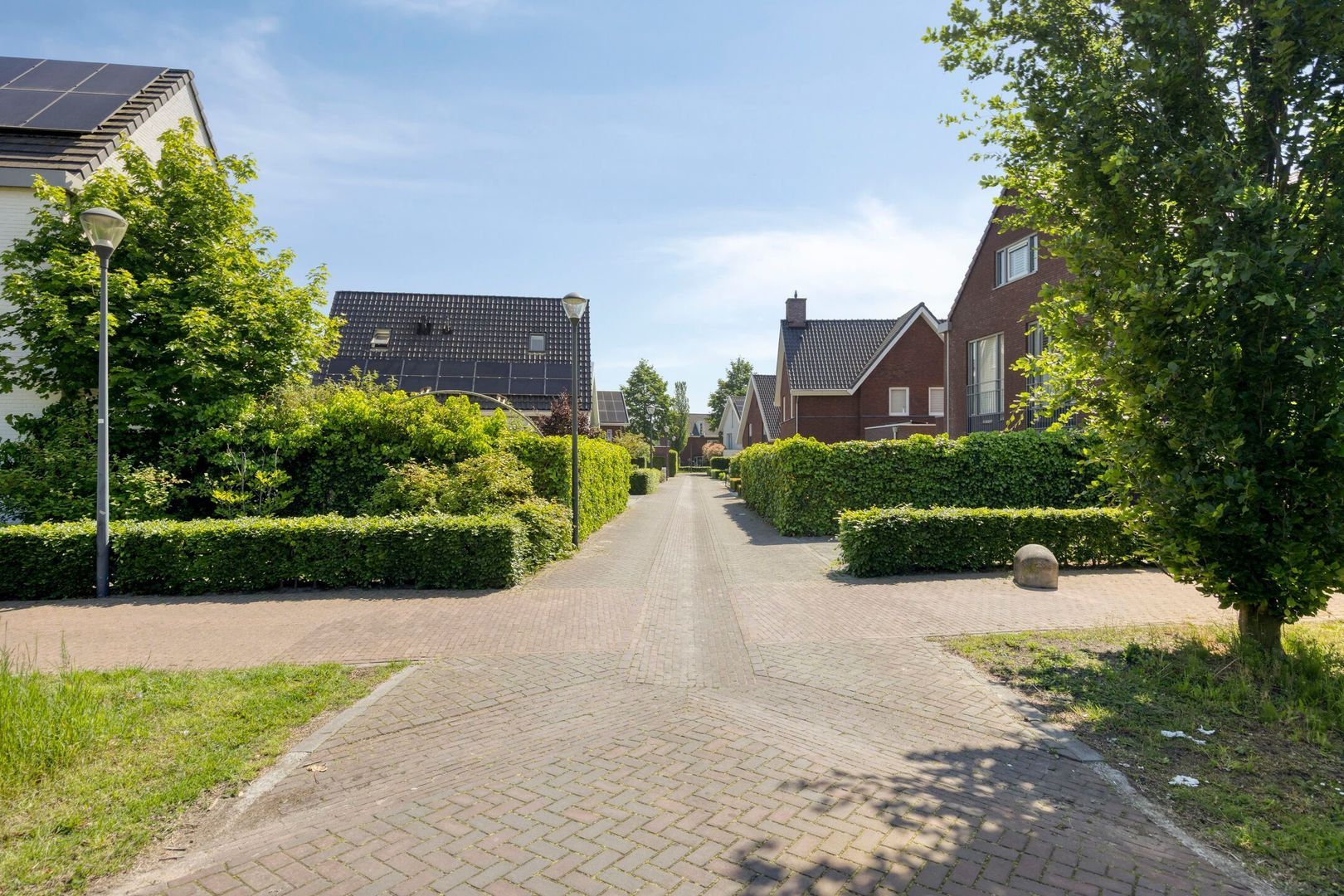 Bekerpad 6, Oss foto-68