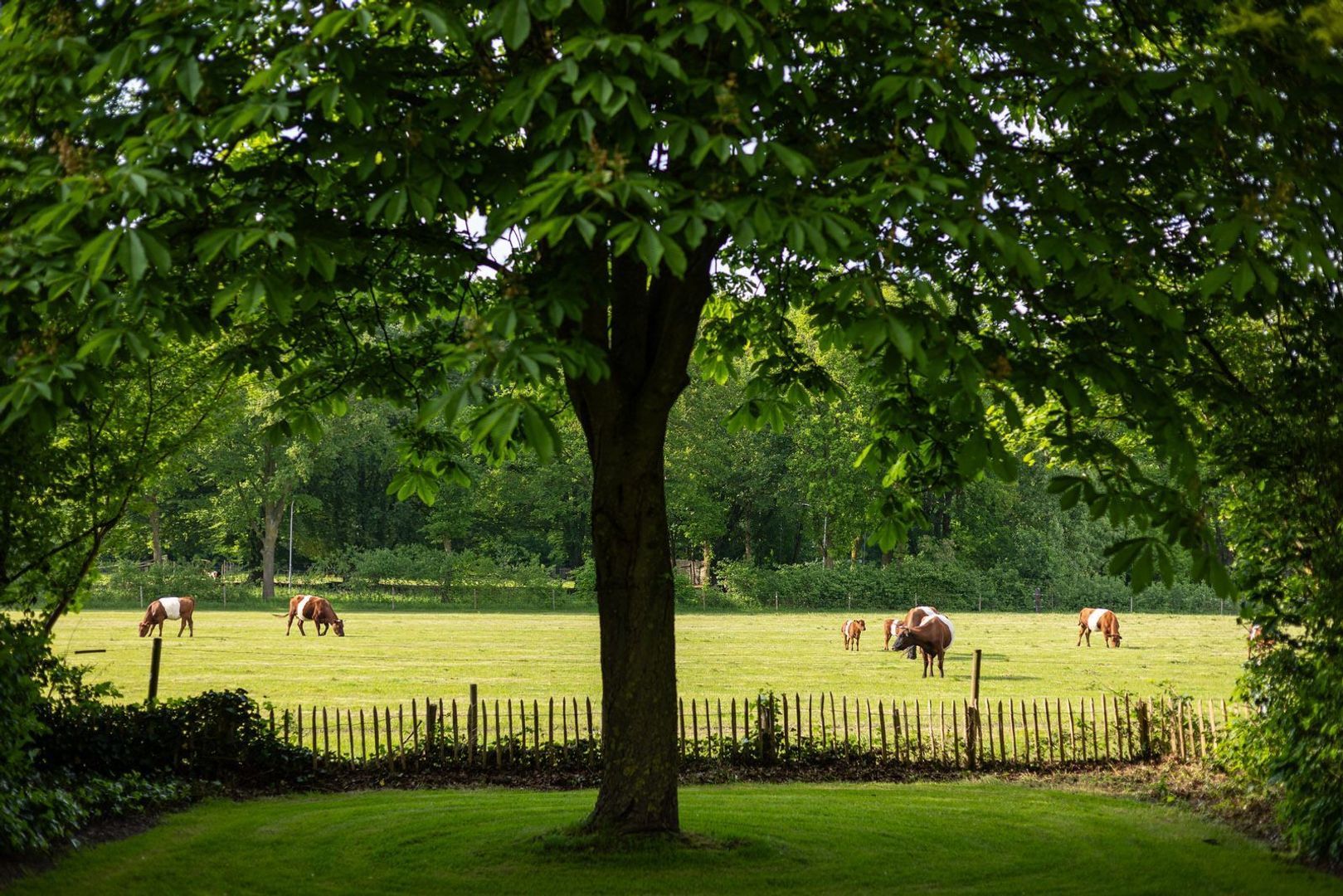 Maliskampsestraat 86, Rosmalen foto-22