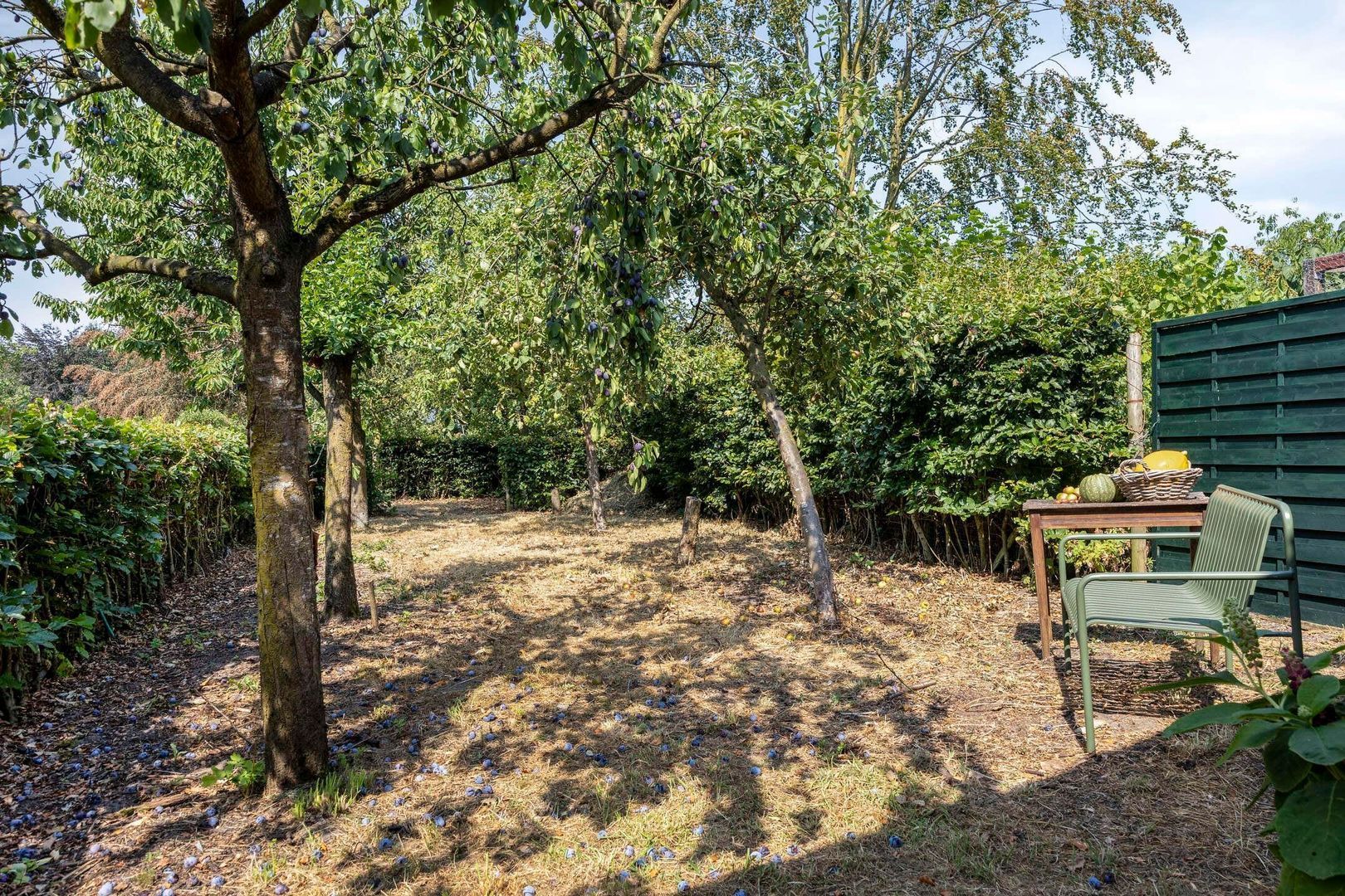 Monseigneur Borretstraat 48, Reek foto-55
