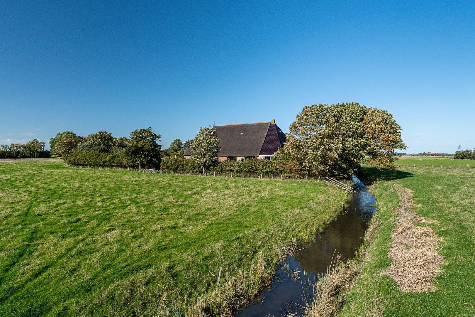 Hovensreed 3, Dongjum foto-13