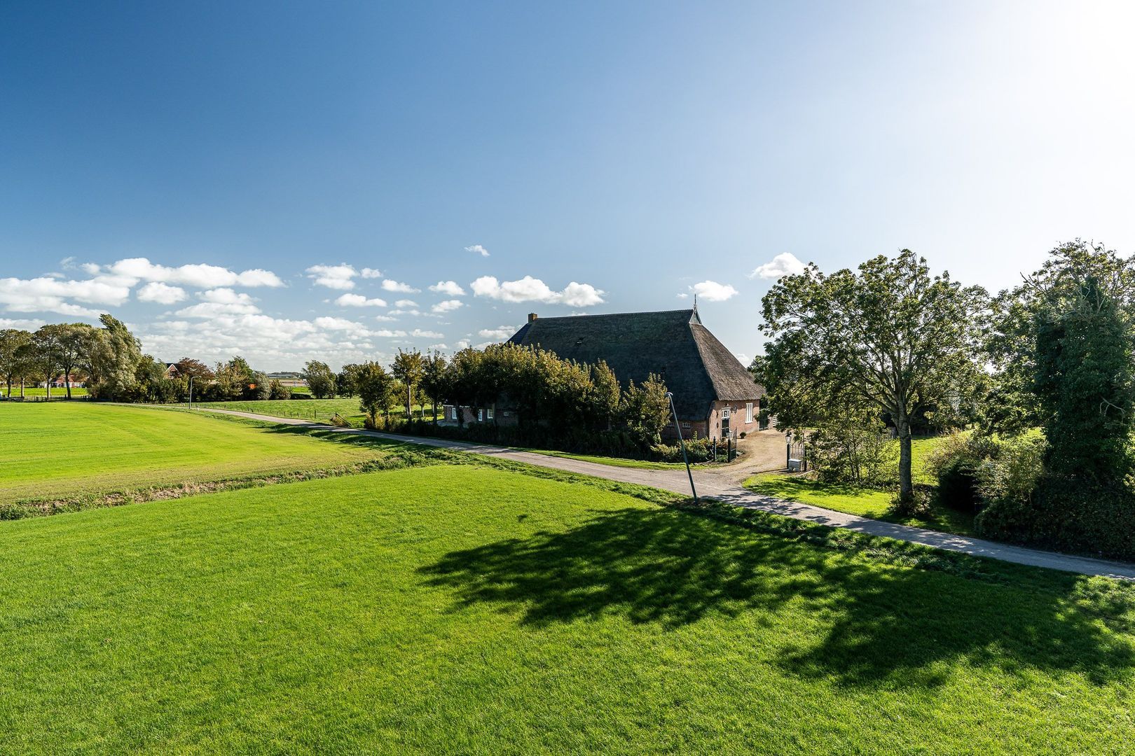 Hovensreed 3, Dongjum foto-9