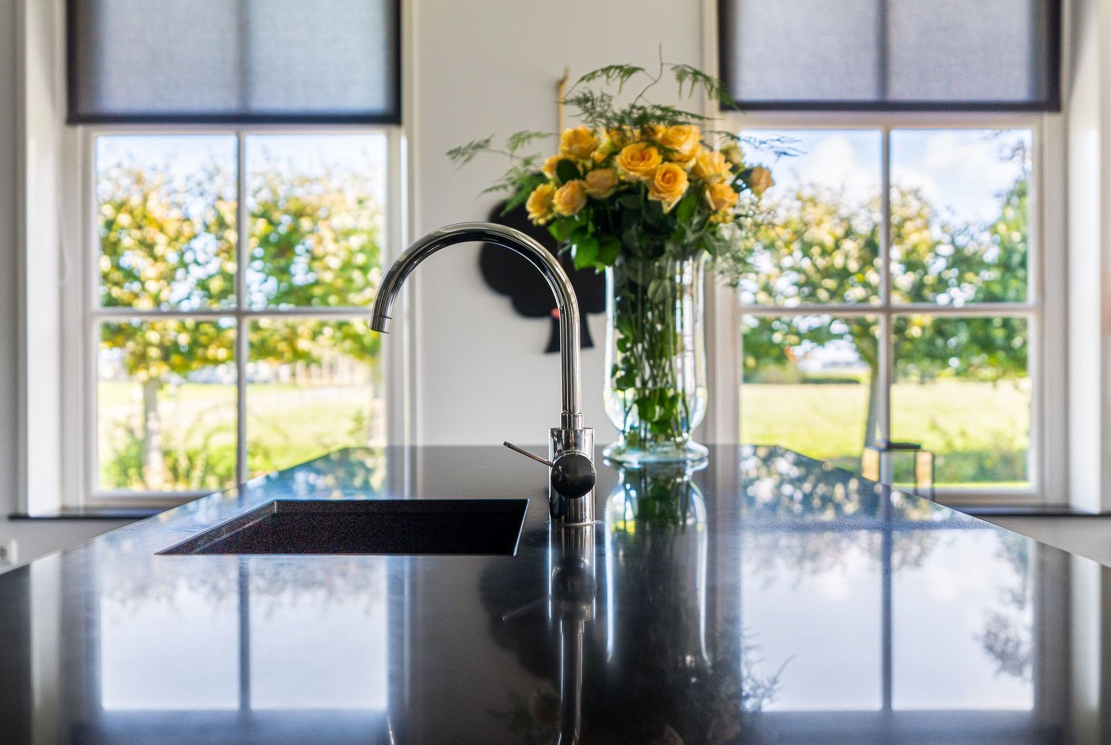 Hovensreed 3, Dongjum foto-40