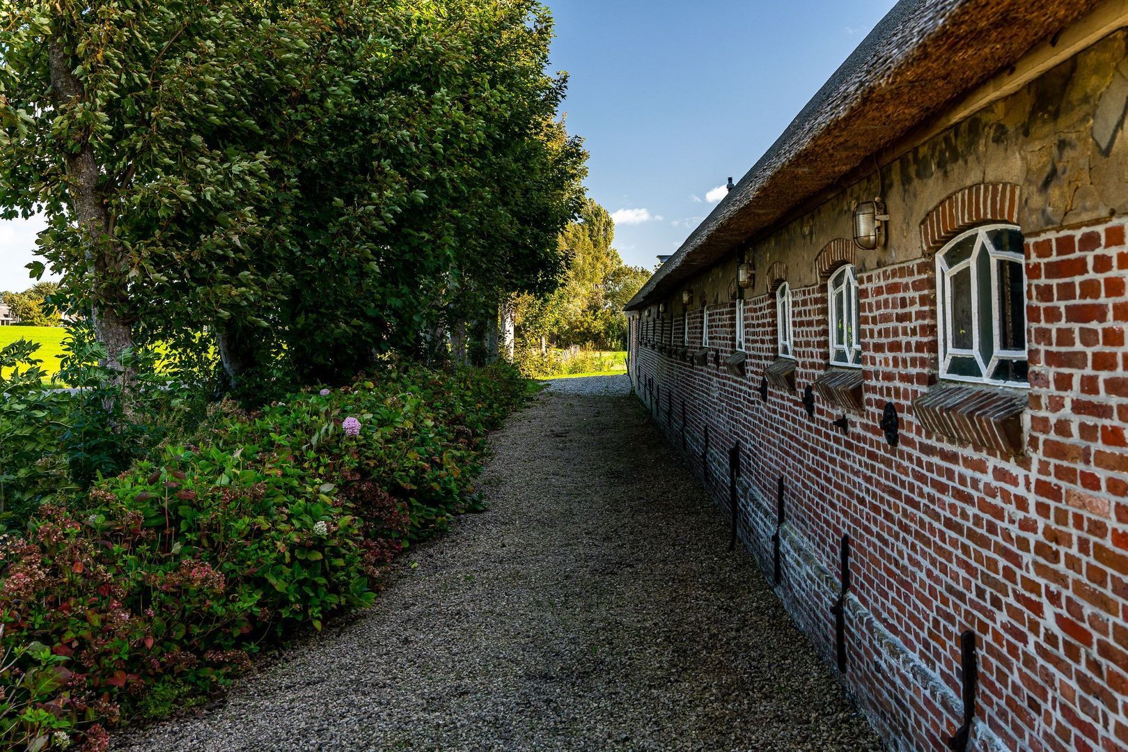 Hovensreed 3, Dongjum foto-18