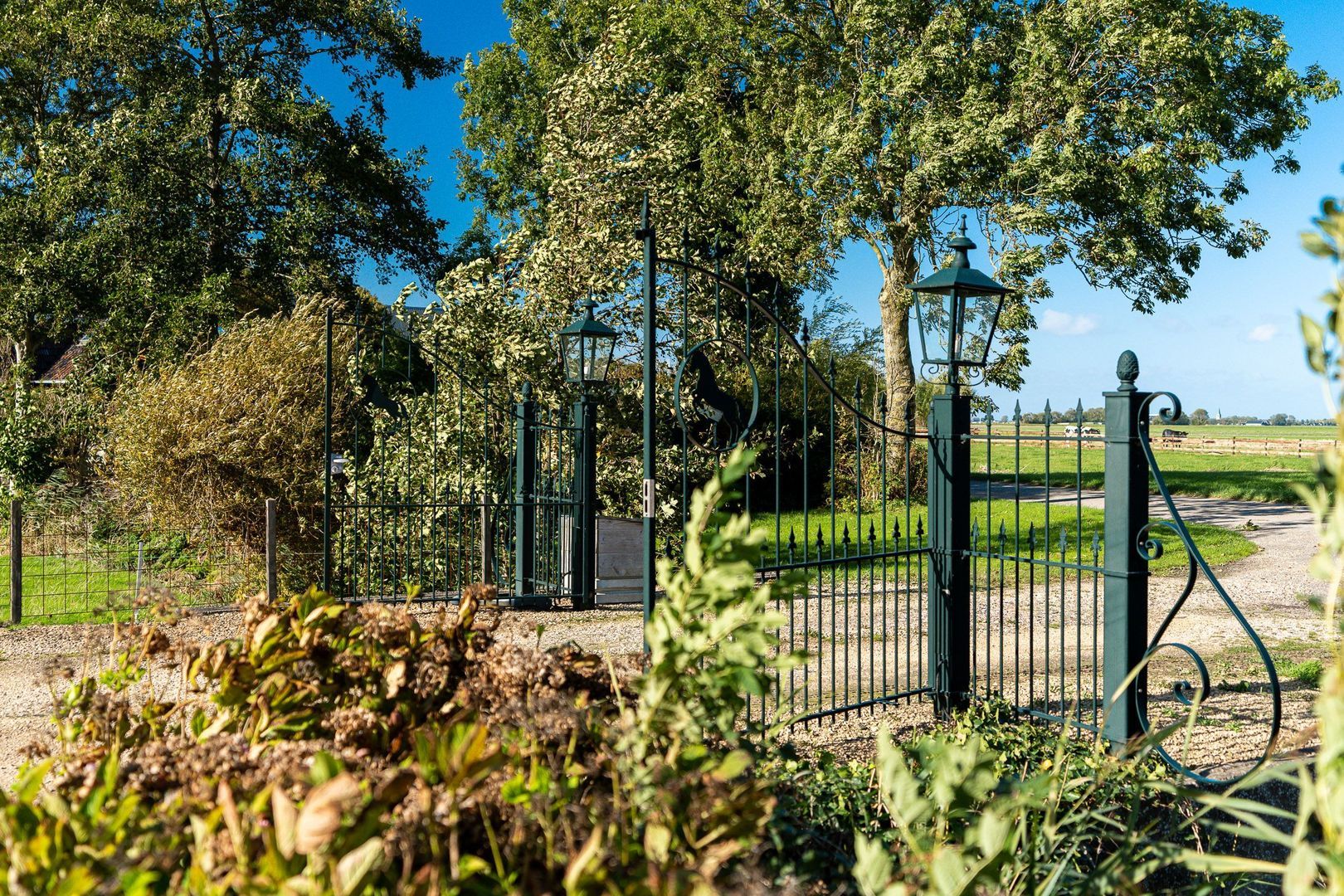 Hovensreed 3, Dongjum foto-82