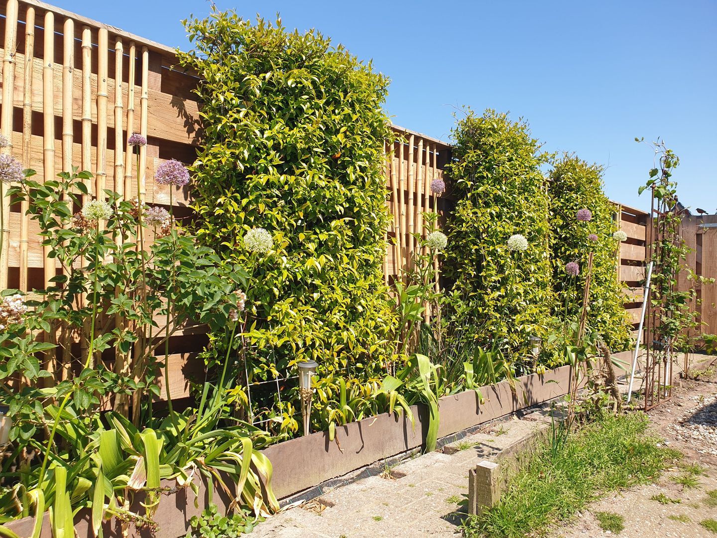 Nijbuorren 8, Ternaard foto-27