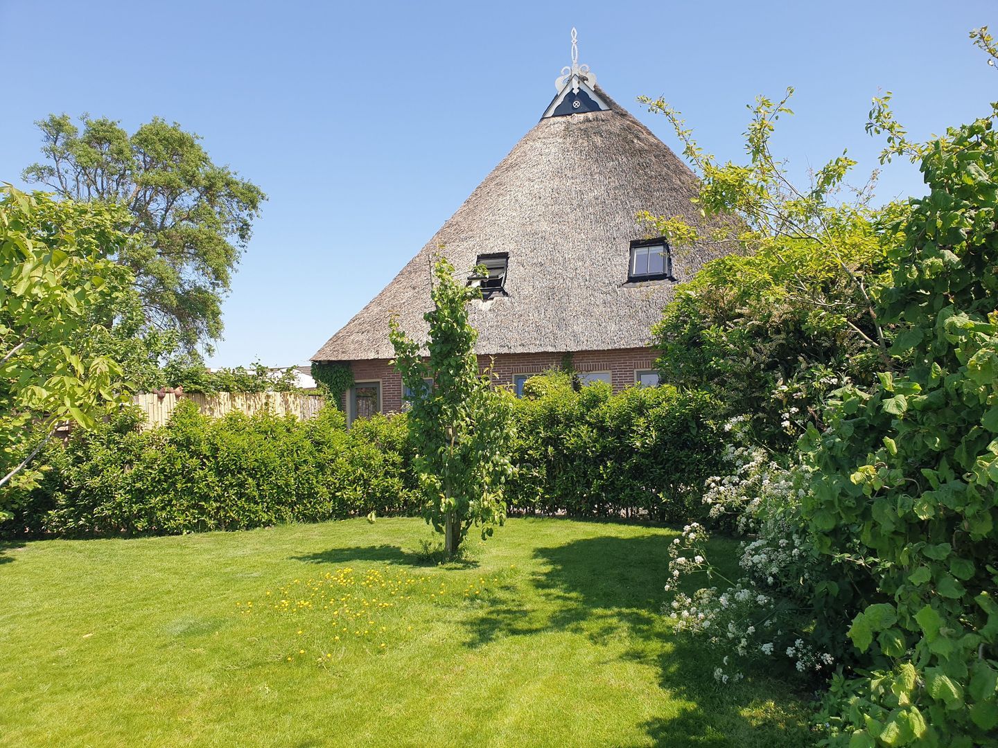 Nijbuorren 8, Ternaard foto-33