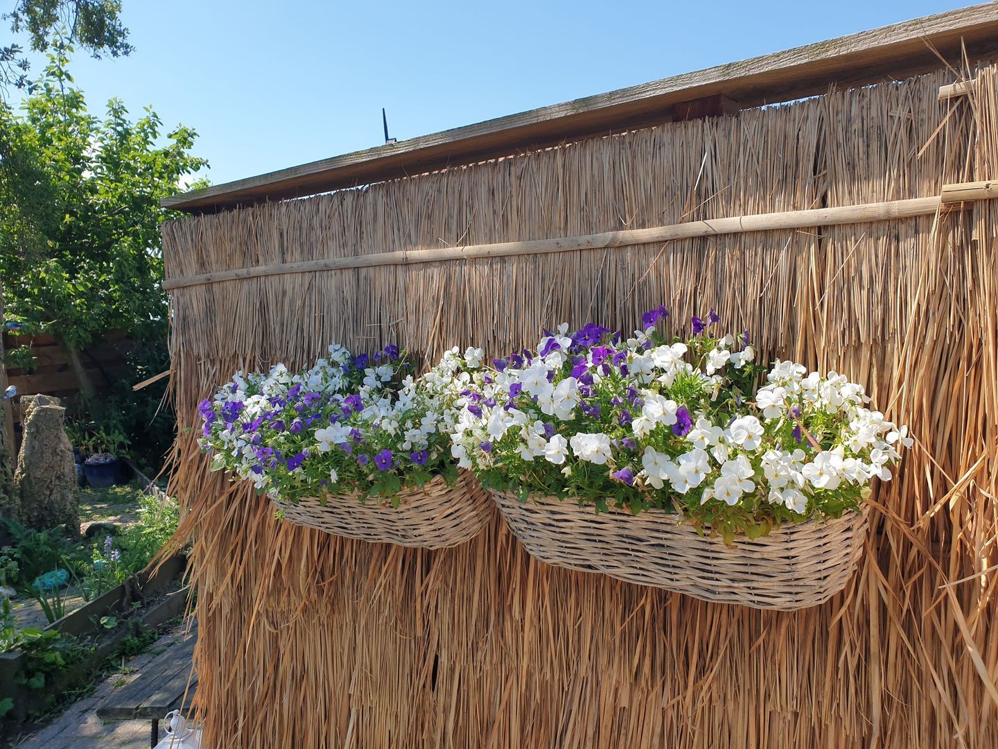 Nijbuorren 8, Ternaard foto-29